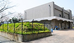 熊本大学