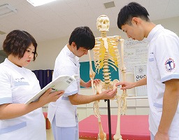メディカルカレッジ青照館