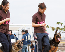 ドッグケア・トレーナーコース