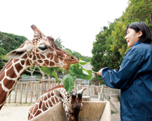 動物飼育・ショップビジネスコース