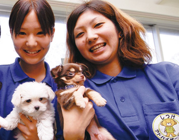 沖縄ペットワールド専門学校