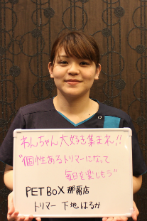 PET BOX Animal Station NAHA