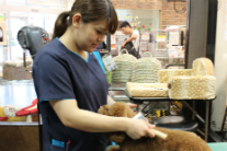 PET BOX Animal Station NAHA 下地はるかの写真