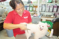 サンバース ペット&グリーン 知念久美