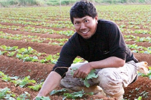 農家（自営業）