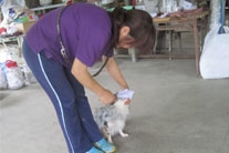 シオン警察犬訓練所　14年勤務。 備瀬順子（ビセ　ジュンコ　）