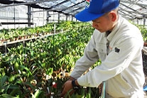 海洋博公園・植物管理チーム（熱帯ドリームセンター担当） 仲松　辰弥
