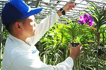 海洋博公園・植物管理チーム（熱帯ドリームセンター担当） 仲松　辰弥の写真