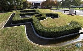 ベイカーズフィールド・カレッジ